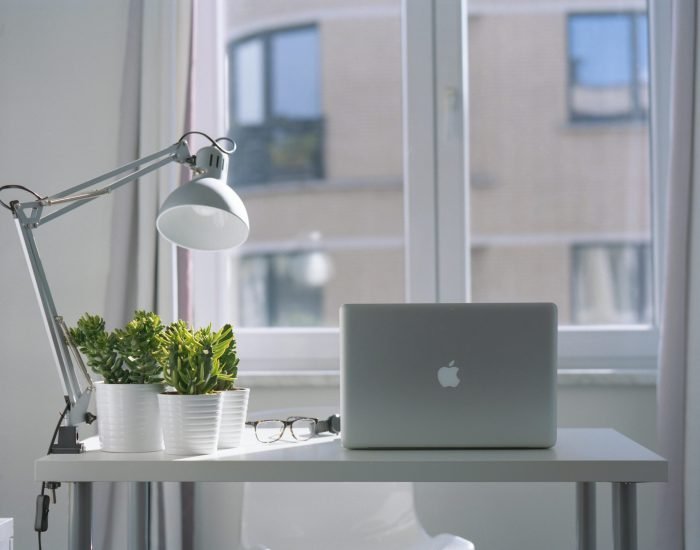 Bright modern workspace with laptop, potted plants, and desk lamp near a window.